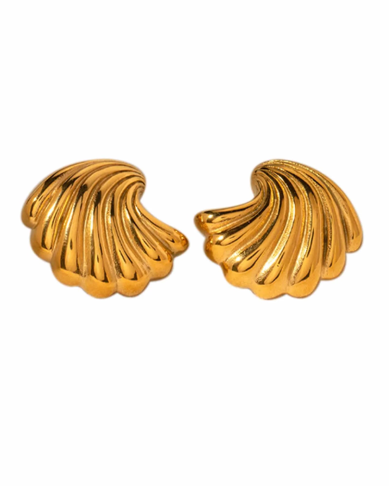 18K Gold Plated Stainless Steel, Shell-Shaped Stud Earrings, Ridged Design Kaaf Creations